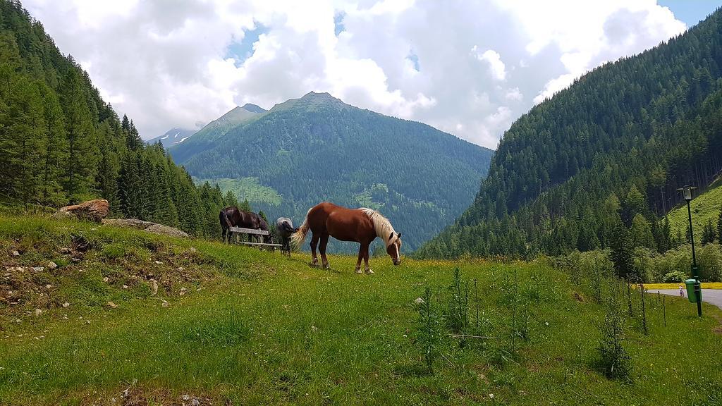 Gaestehaus Truskaller Hotel Mallnitz Luaran gambar
